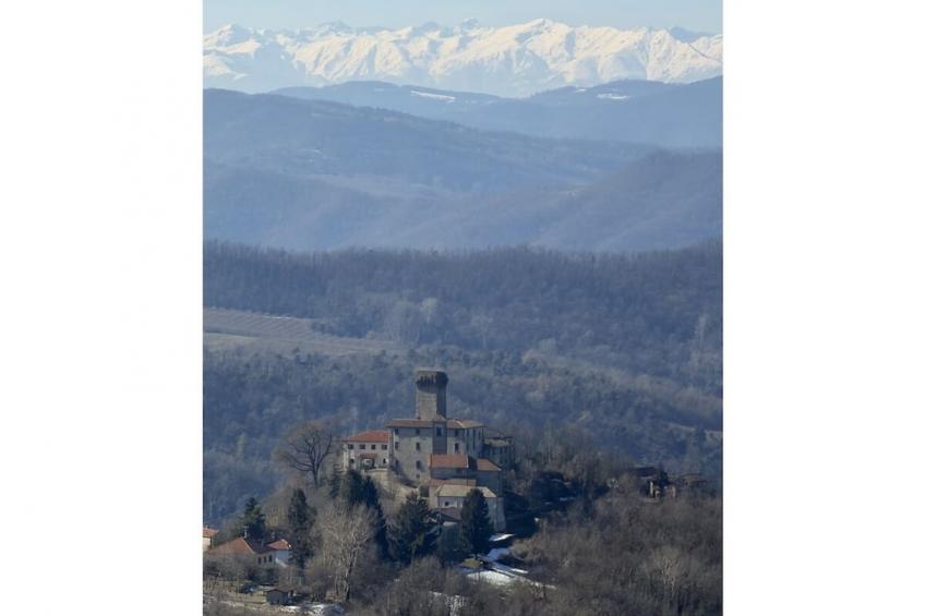 790875 - foto 14