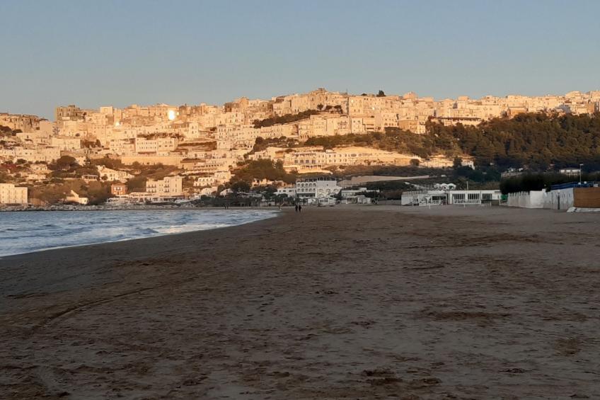 Zwei-Zimmer-Ferienhaus 11 in der Residenz Liberato Peschici - foto 43