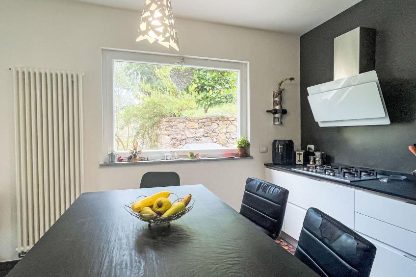 Le radici dell´ulivo - foto 26