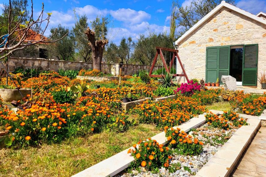 Authentic Villa Zvonko - foto 37