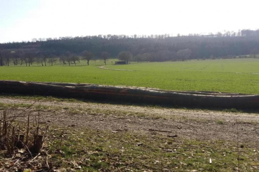 Feriendorf Natur pur - foto 29