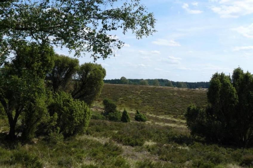 Ericaheidepark - foto 18