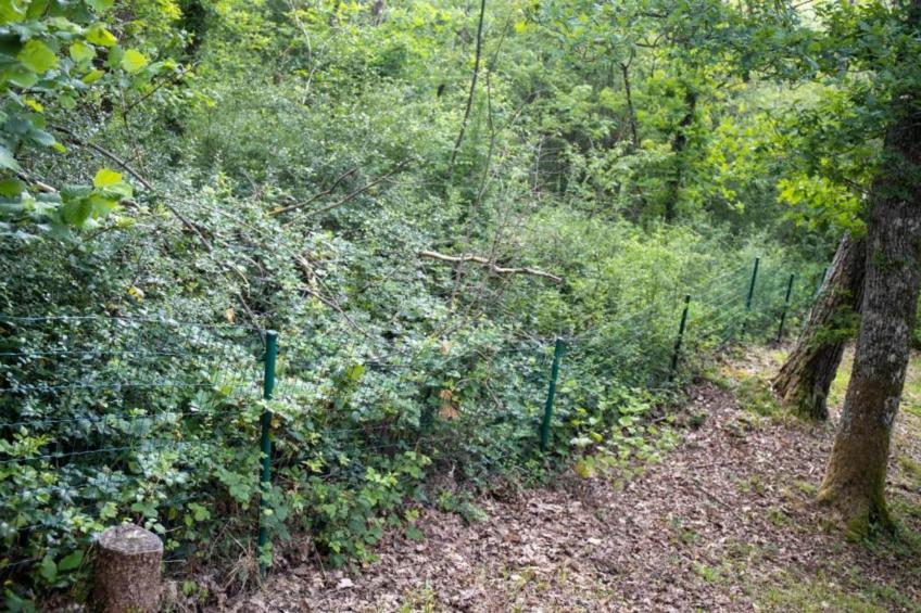 Mas du Puits - foto 36