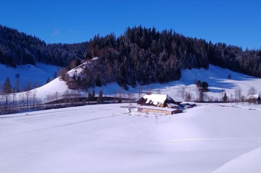 Antikes Ferienhaus - foto 30