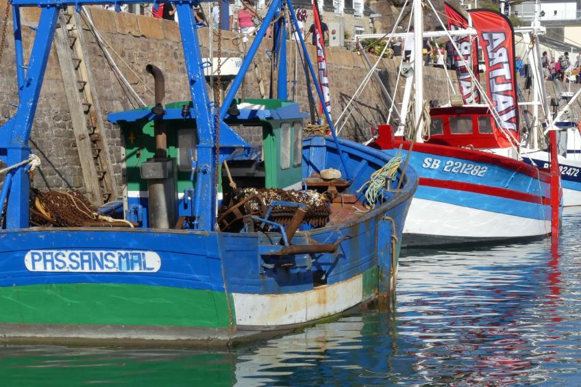 vakantiehuis, Ferienhaus in Plévenon Cap Fréhel - foto 21