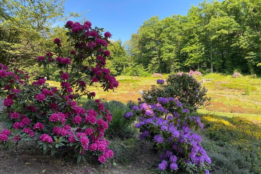 SUPERIOR DOUBLE ROOM - foto 33