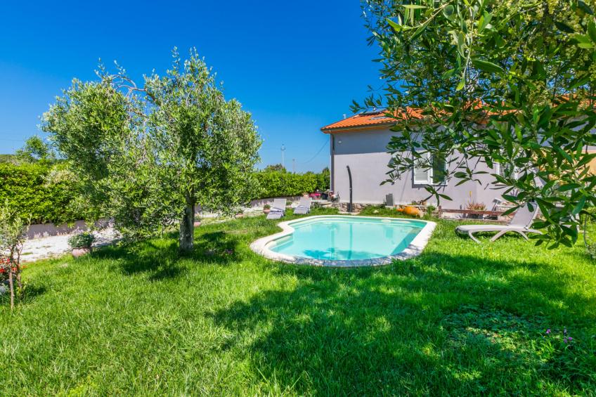 Garden - foto 47