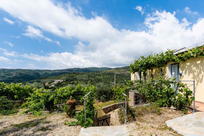 Olive Lodge - foto 38