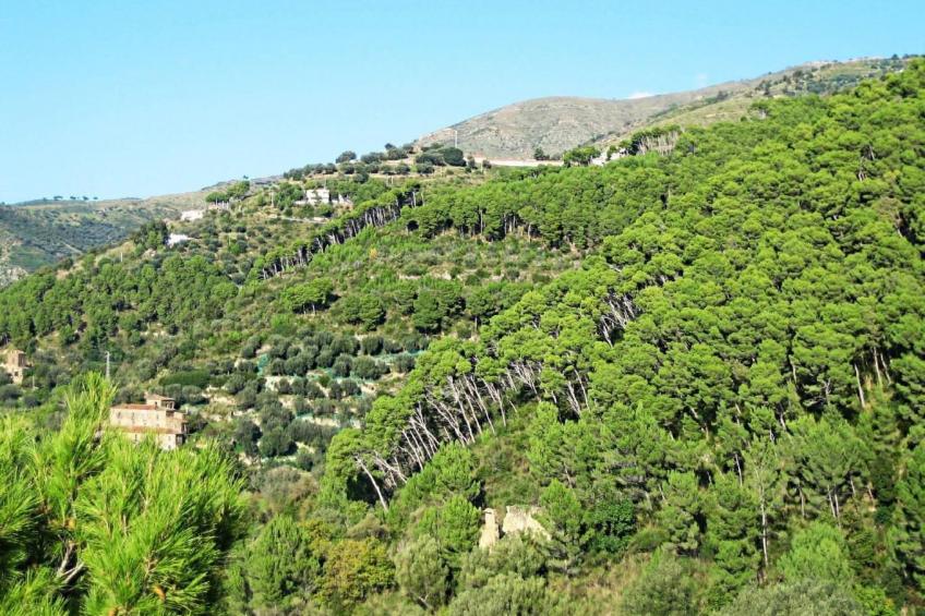 Top Ferienwohnung - foto 39