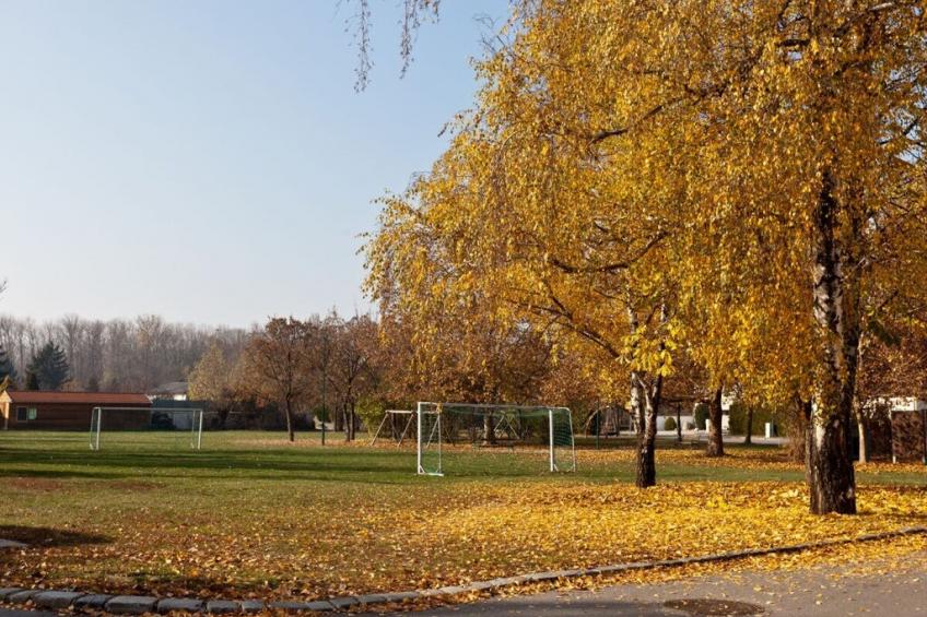 176416 - foto 14