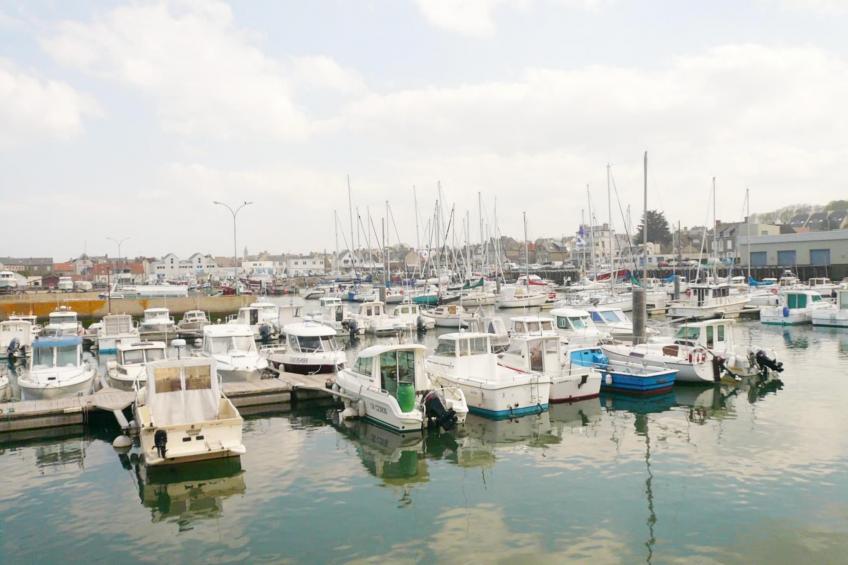 Gite Le Jonquet - foto 31