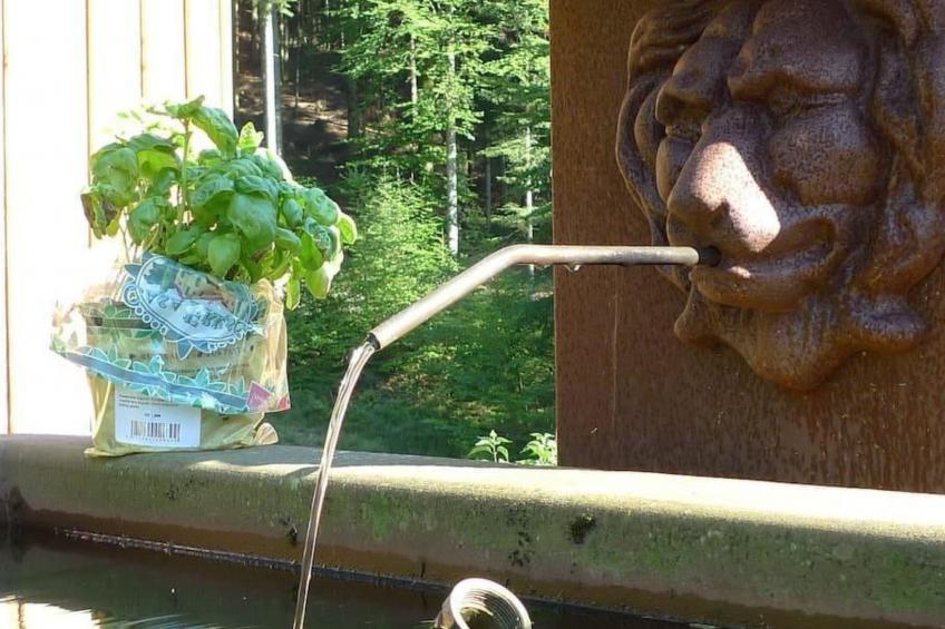 in Walscheid mit Terrasse, Grill - foto 39