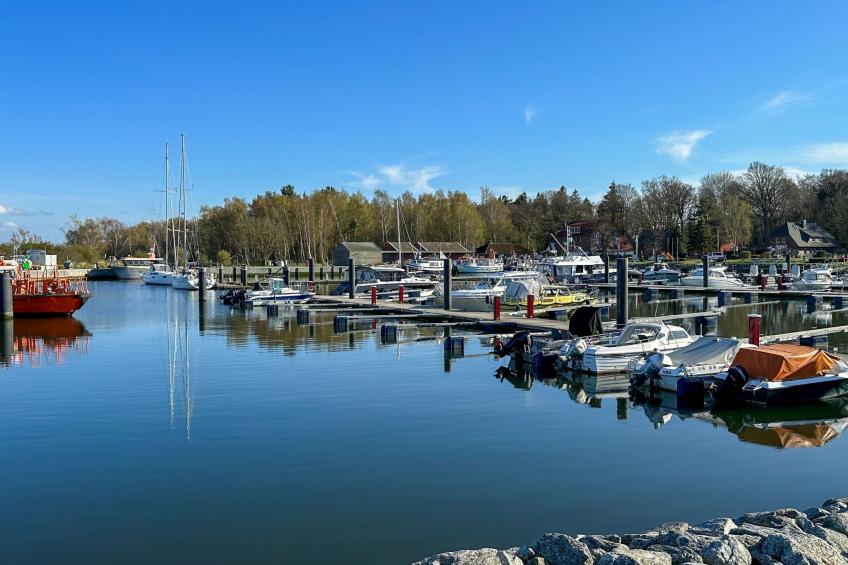 Boddenblick Klausdorf Am Nationalpark - foto 30