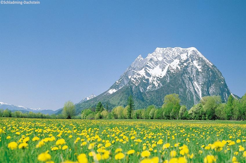 Schladming an der Piste 2 - foto 21