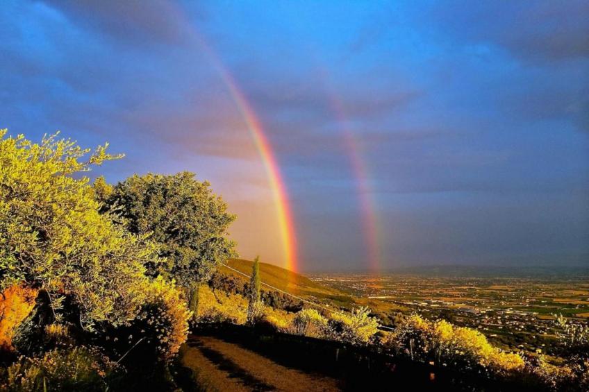Fiordalisi - foto 39