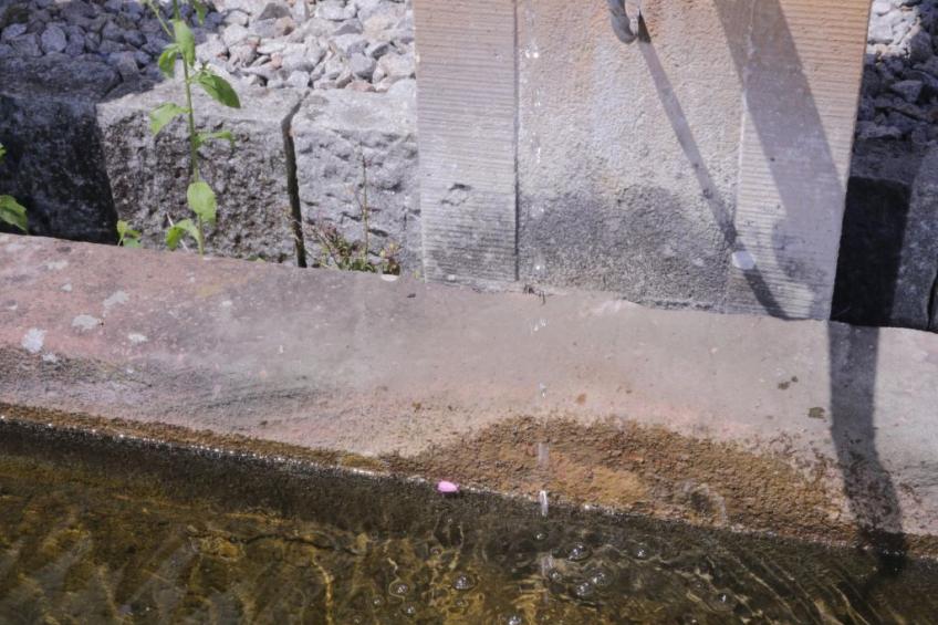 Haus Aissa - foto 29