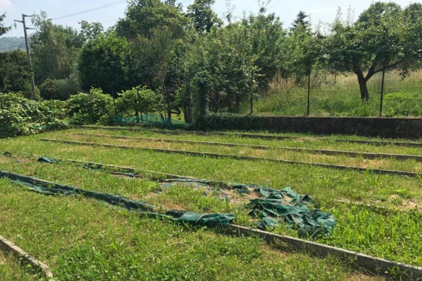 Lavinia's Apartment - foto 39