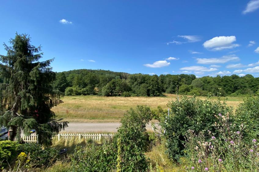 Eifelcottage Rotkehlchen mitten in der Natur - foto 7