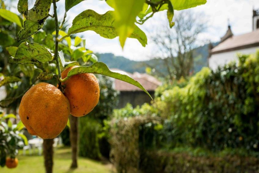 Haus der Stille - foto 22