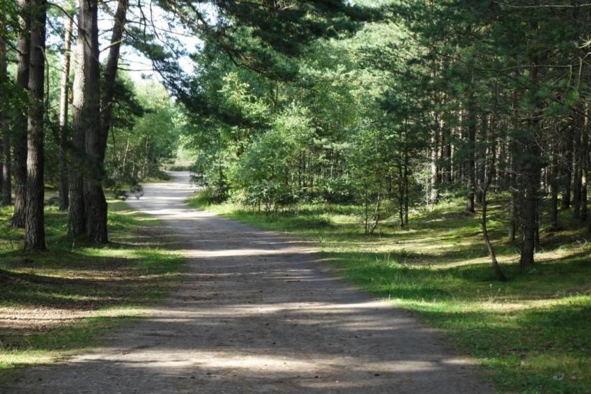 Domek wakacyjny z 2 sypialniami na piętrze w Kopalinie - foto 29