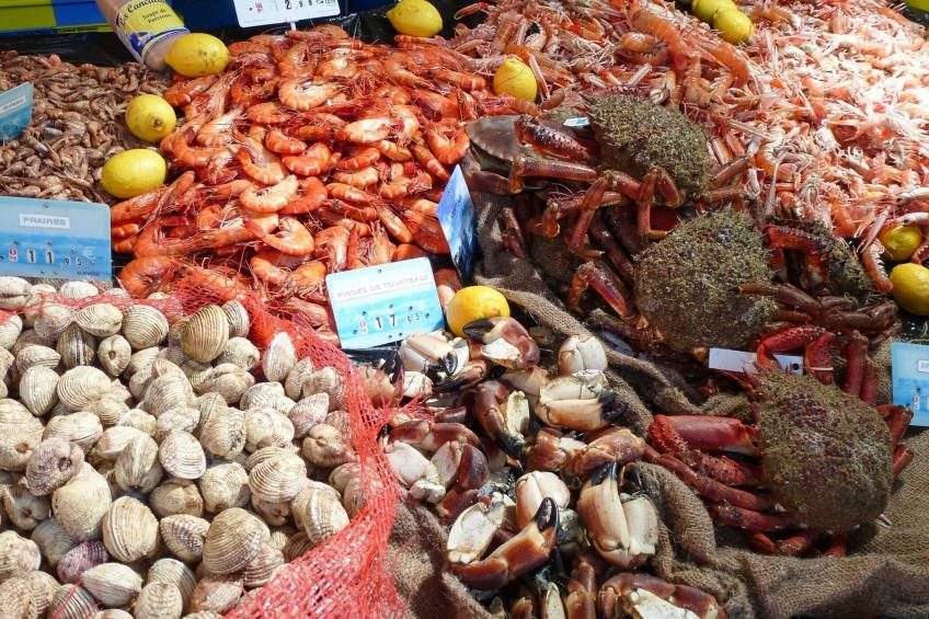 Semi-detached house Rieux - 8 pers - foto 24