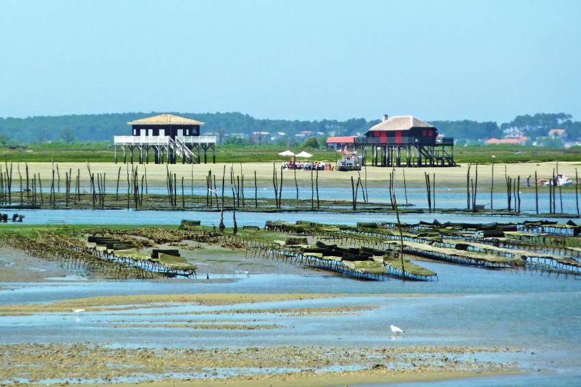 Port Arcachon - foto 25