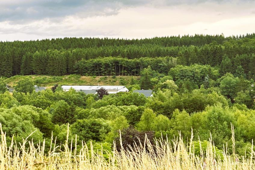 Skjoldenhof - foto 25