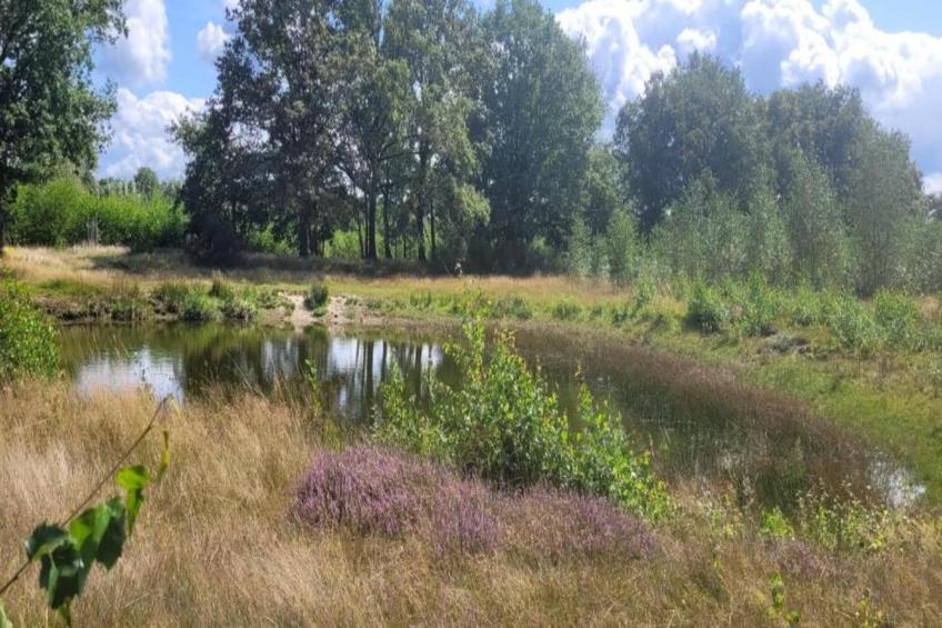 Vakantiepark Sandberghe 13 - foto 28