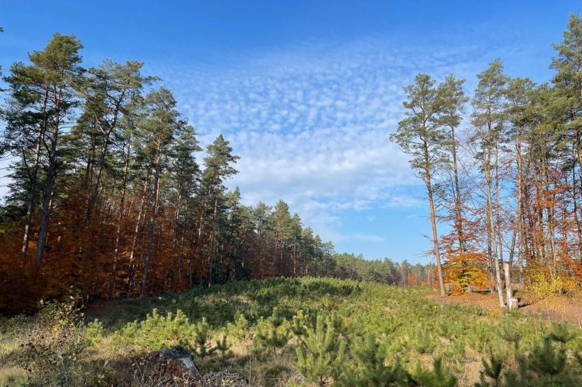 Vogelecke - abseits des Trubels und der Hektik - foto 27