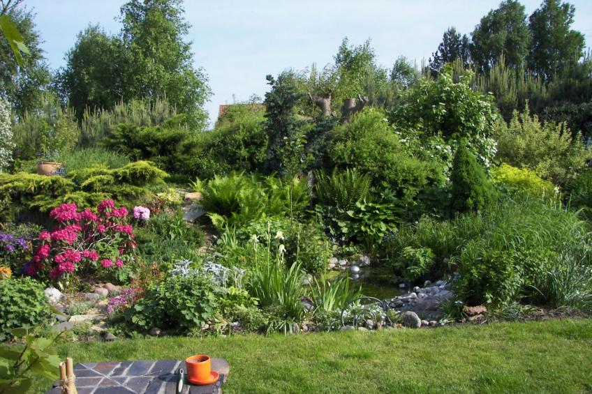 in ruhiger Lage am Waldrand - foto 12