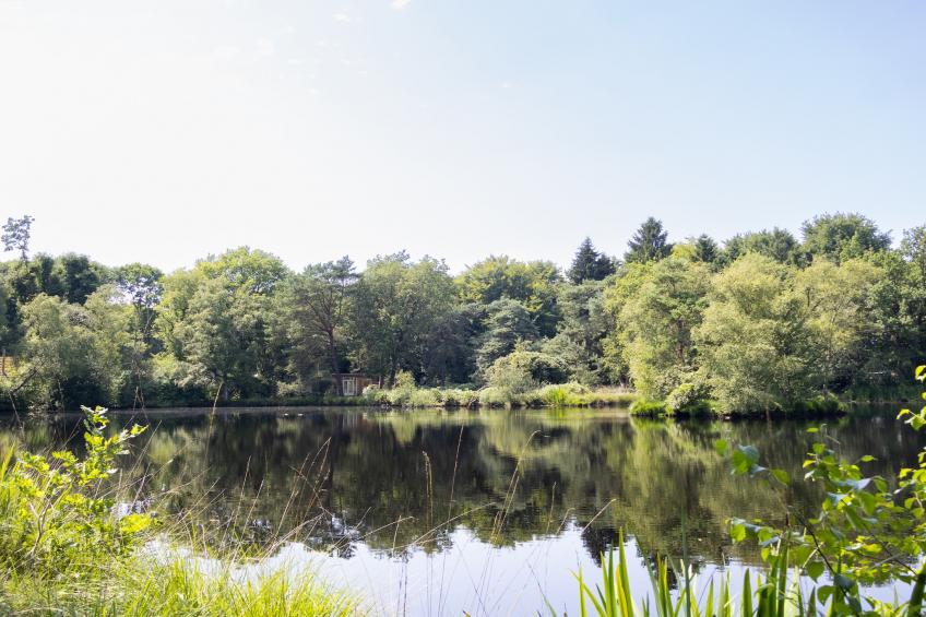 Huis in de Bossen - foto 23