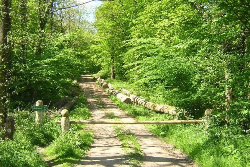 Sponbrück - foto 19