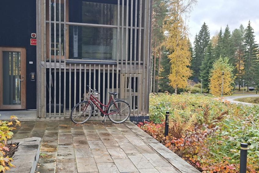 Villa sinikka 2 - foto 5