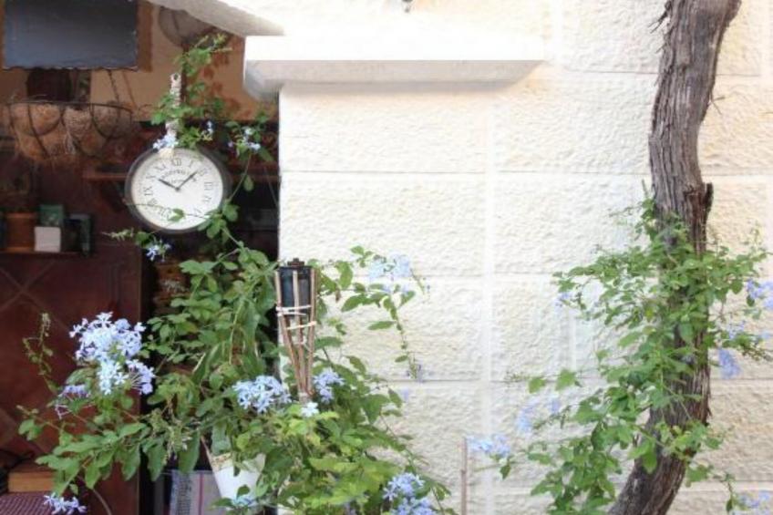Quaint & Affordable Stay in Budva Traditional Stone House - Double Room 1 - foto 9