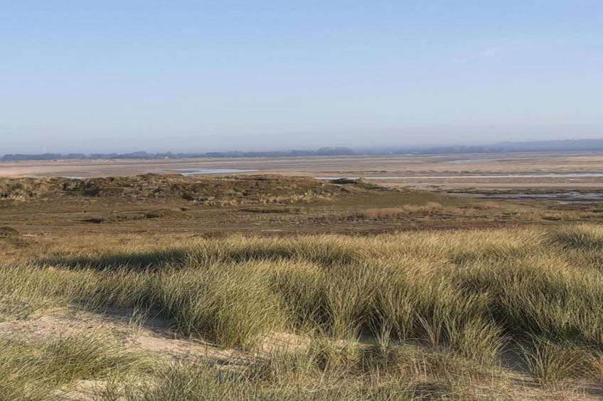 Maison de vacances - LE PONCHEL - foto 32