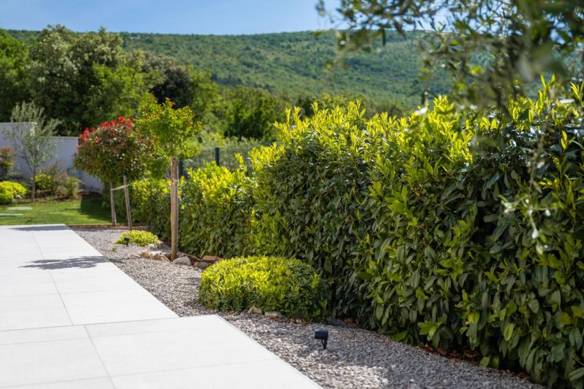 Beheizter Außenpool ohne Aufpreis - foto 11