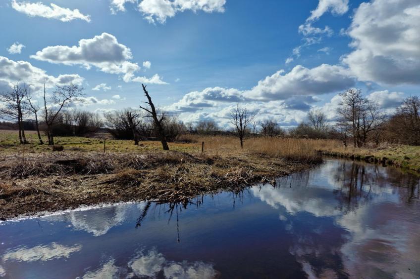 Jomfru Ane Premium Single - foto 26