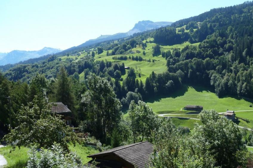 Ferienhaus Stutz Hausteil Rechts - foto 4