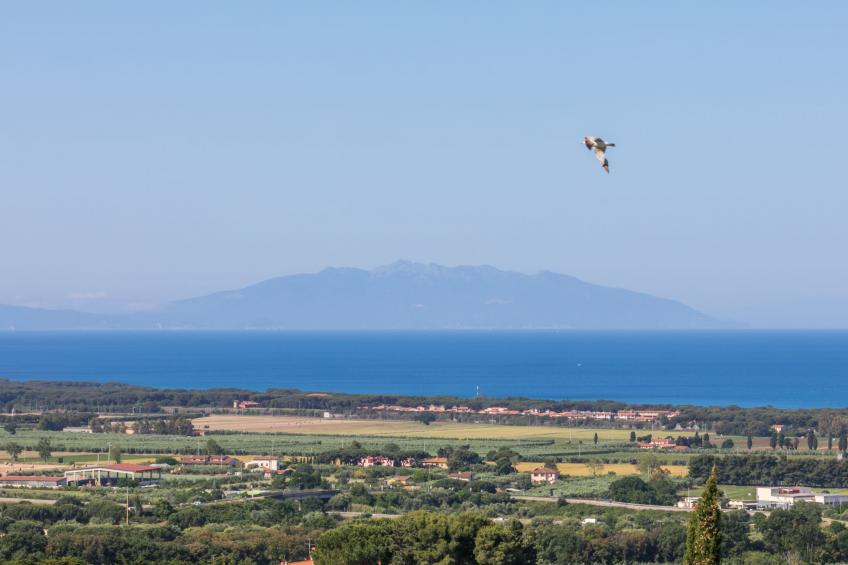 Agriturismo Il Corbezzolo (SVC150) - foto 2
