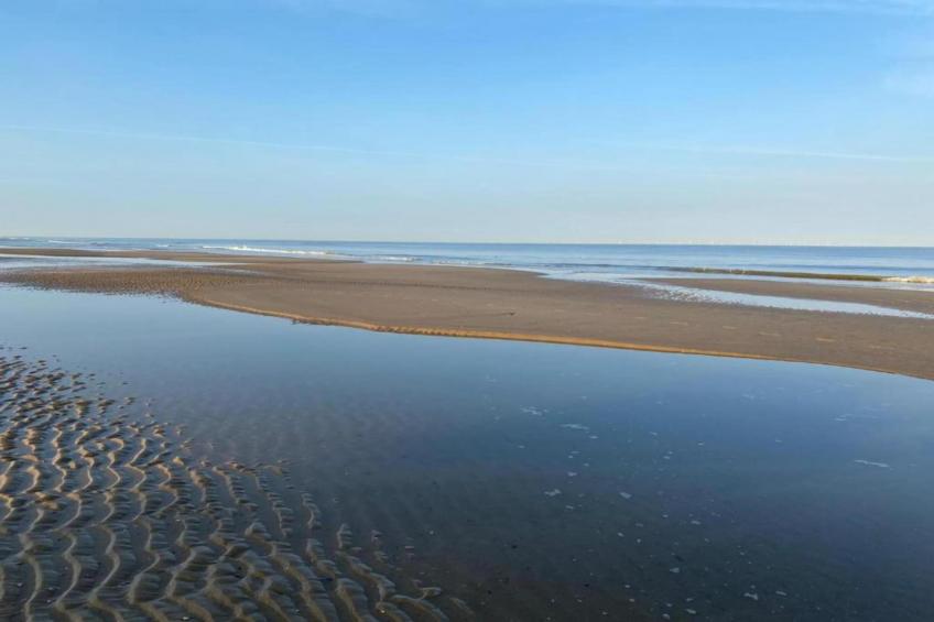 De Schone Leij - foto 22