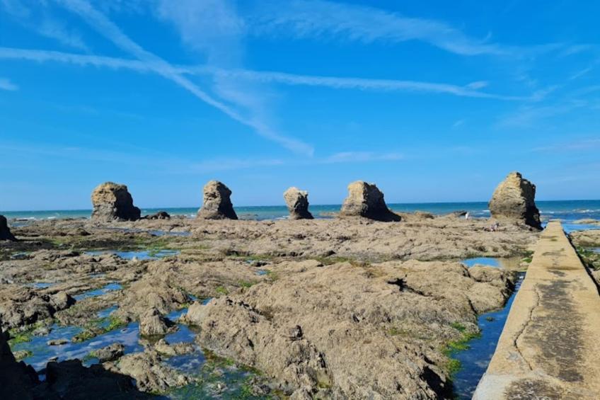 Maison à Saint-Hilaire-de-Riez - foto 15