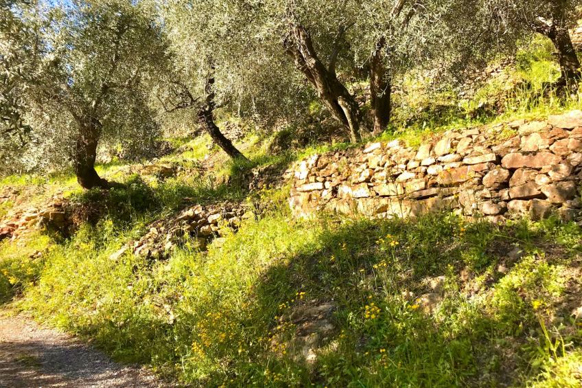 Casa Uliveto - foto 20