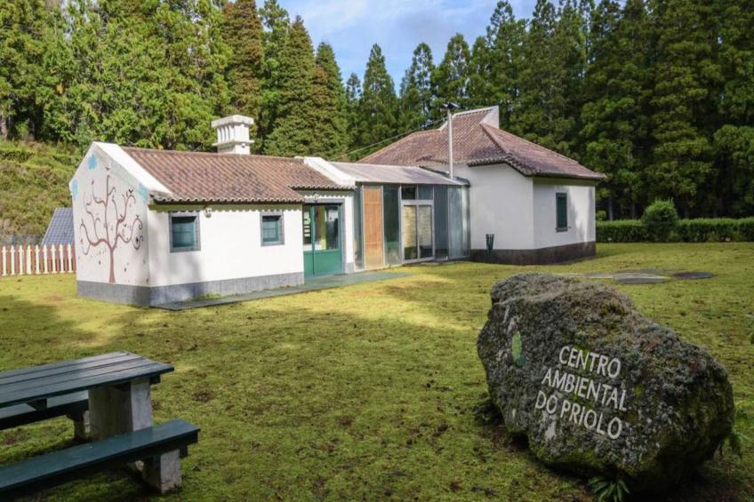 Das Haus der Patin 2 - foto 10