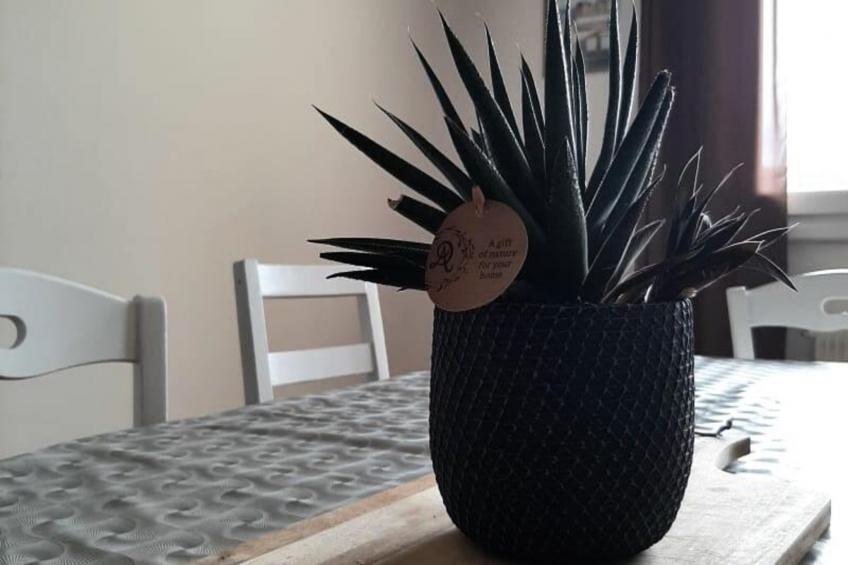 Résidence Md 52 - élégante Maison Avec Terrasse - foto 17