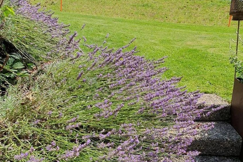 Chuderhütte - Ihr Gütli im Emmental - foto 19