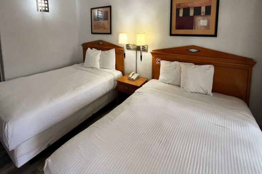2 Queen Beds  Non-Smoking - foto 4