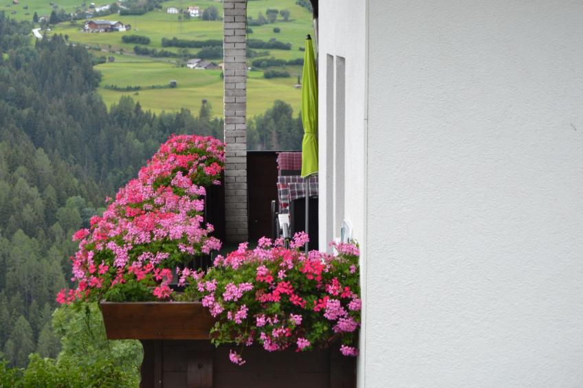 Haus Tauber - foto 27