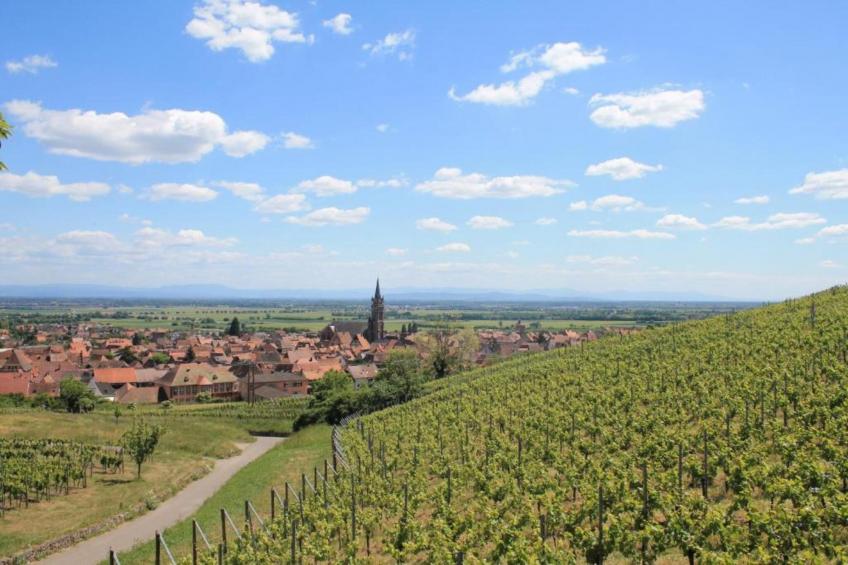 Magnifique Appartement Alsacien - foto 37