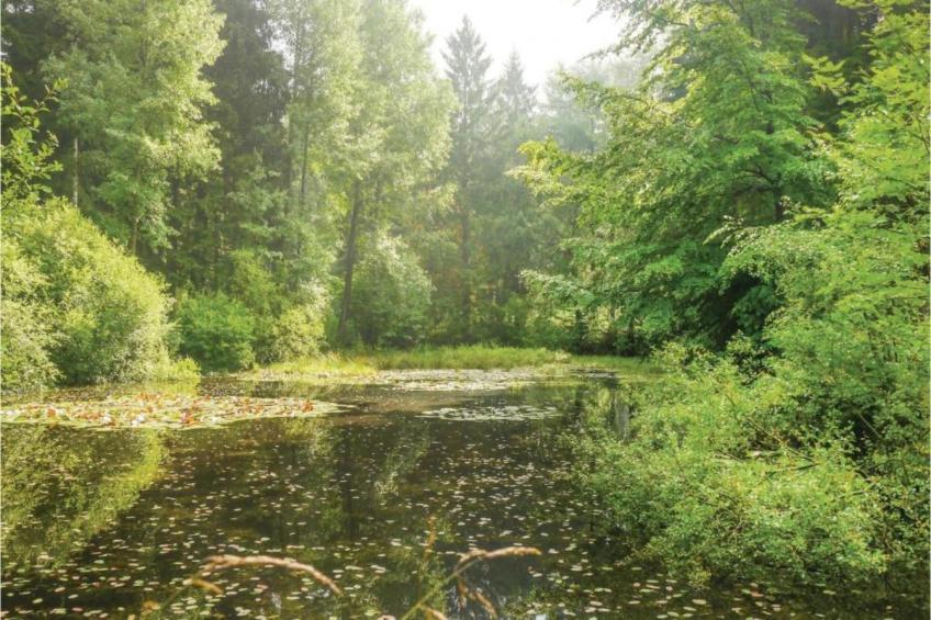 Im Teutoburger Wald - foto 30