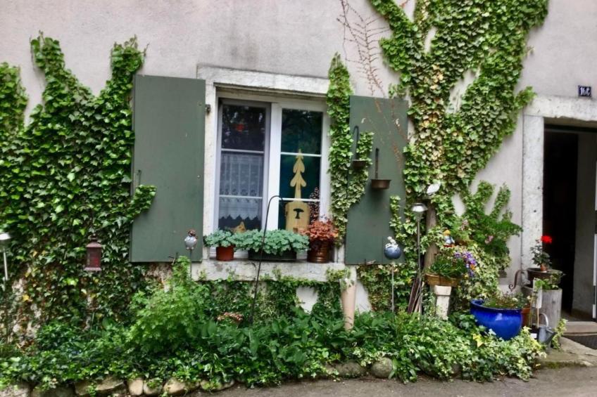 Hof unterer Dürrenberg / Langenbruck - foto 16